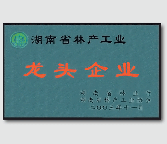 湖南省林業產業龍頭企業